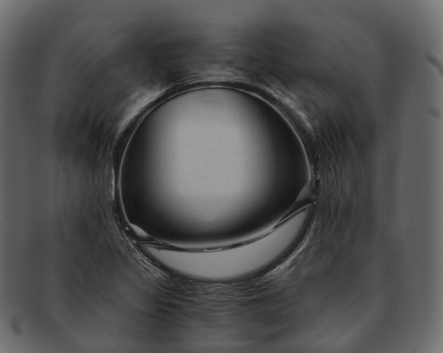 X0000091901317200709191229