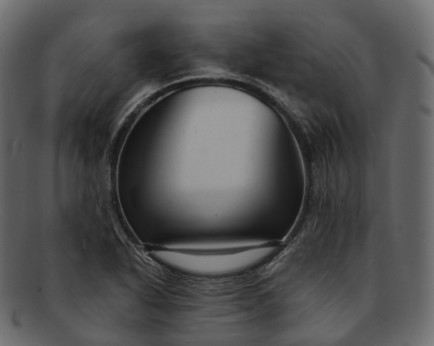 X0000091901318200709191229