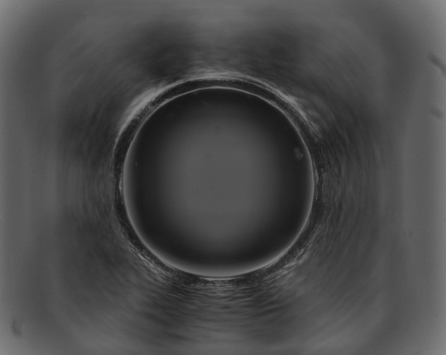 X0000091901319200709191229