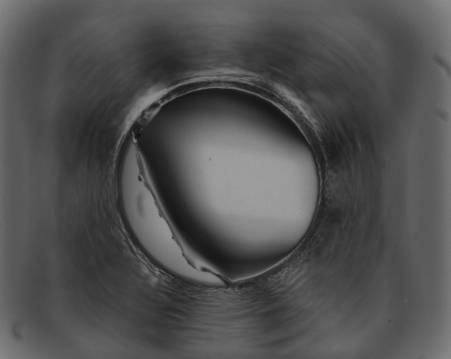 X0000091901320200709191229