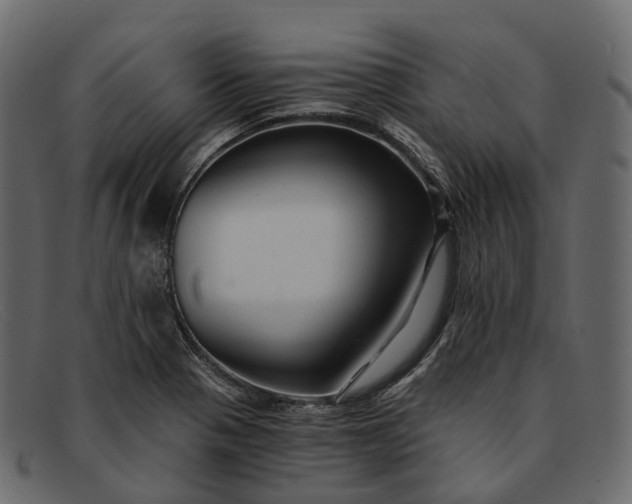 X0000091901321200709191229