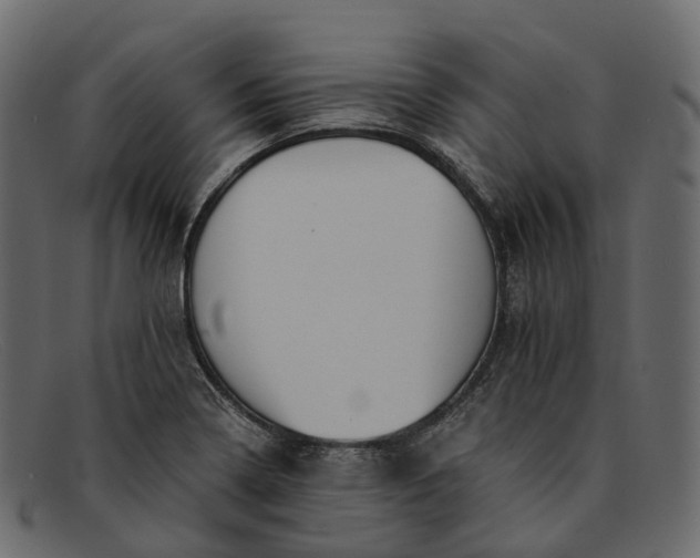 X0000091901322200709191229