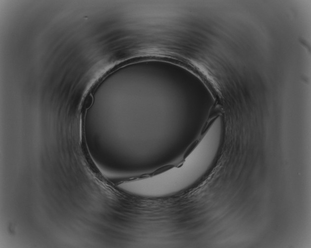 X0000091901323200709191229