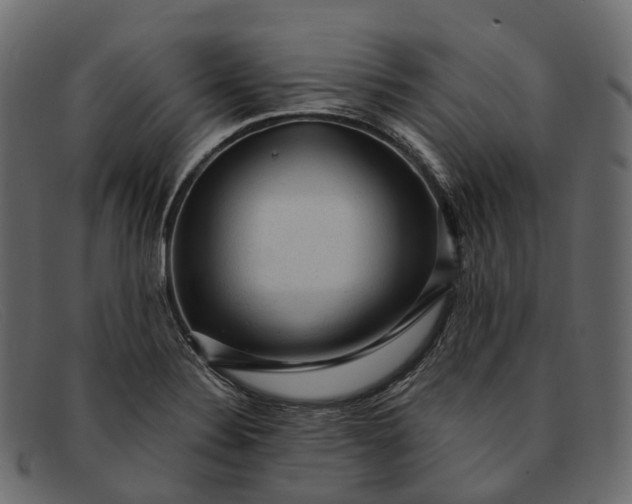 X0000091901324200709191229