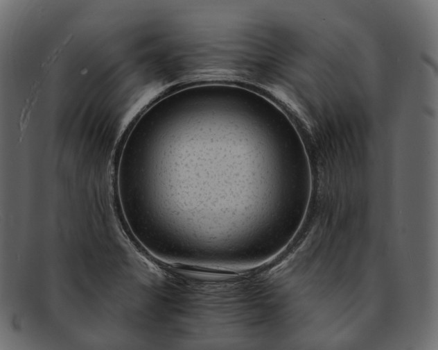 X0000091901325200709191229