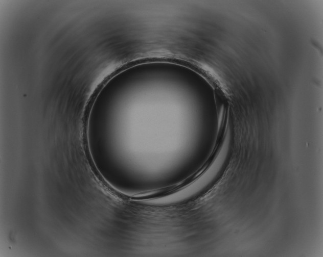 X0000091901326200709191229