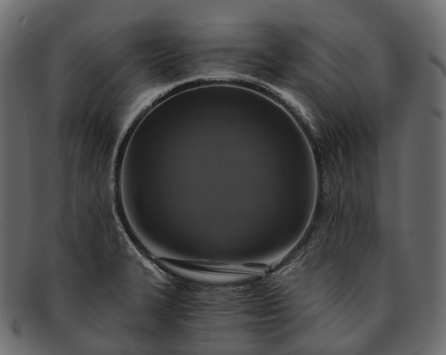 X0000091901327200709191229