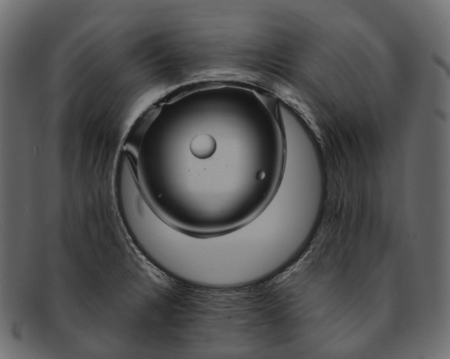 X0000091901328200709191229