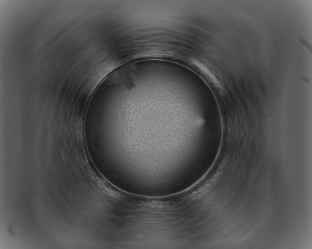 X0000091901329200709191229