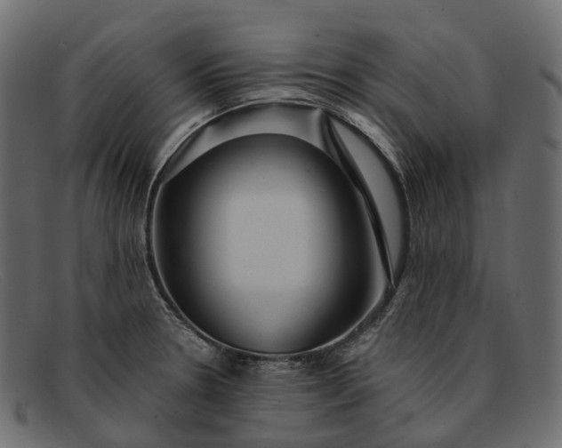 X0000091901330200709191229