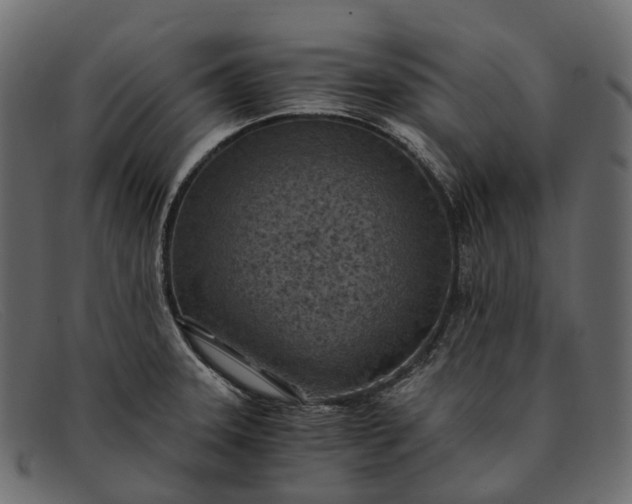 X0000091901331200709191229