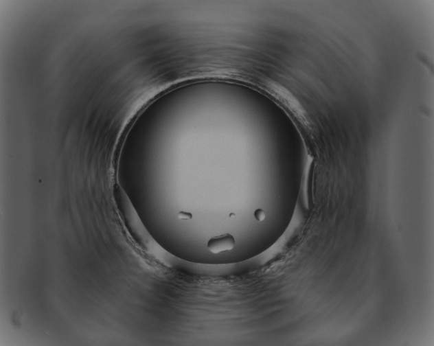 X0000091901332200709191229