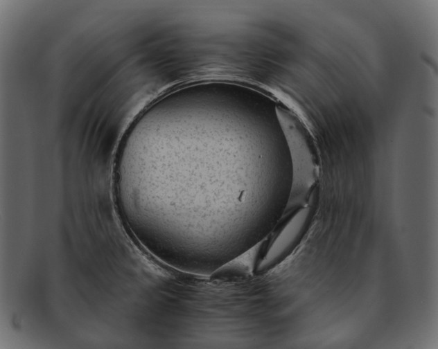 X0000091901333200709191229