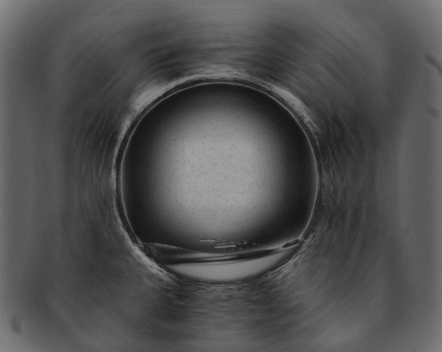 X0000091901335200709191229