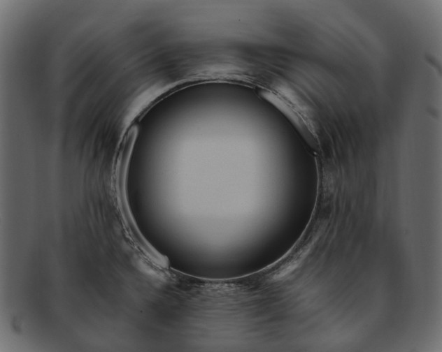 X0000091901336200709191229