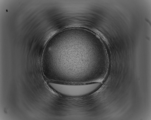 X0000091901337200709191229