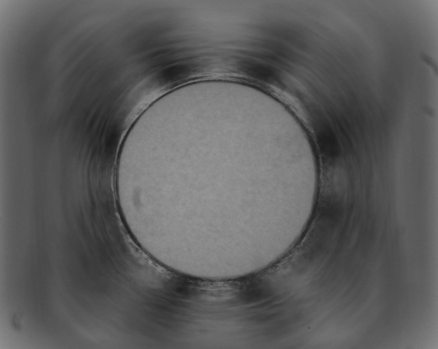 X0000091901338200709191229