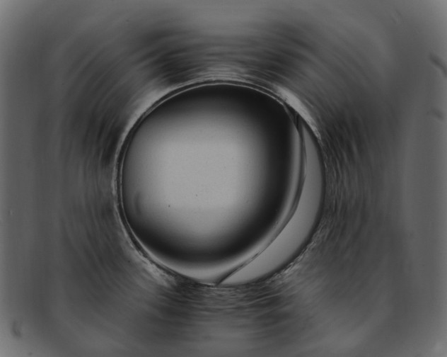 X0000091901339200709191229