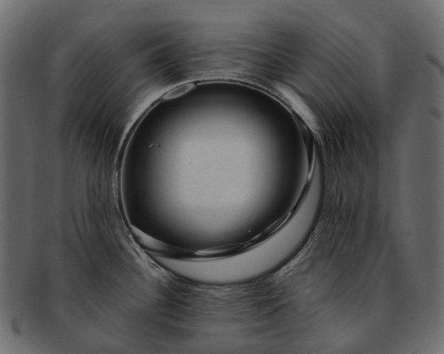 X0000091901340200709191229