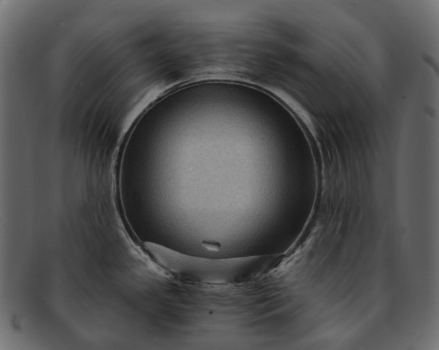 X0000091901341200709191229