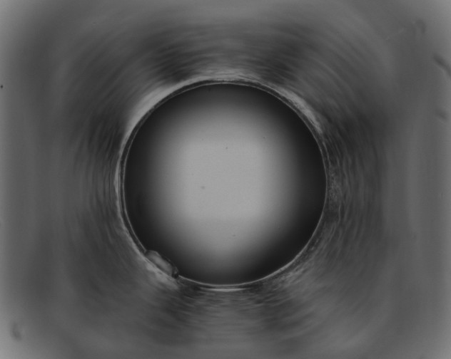 X0000091901343200709191230