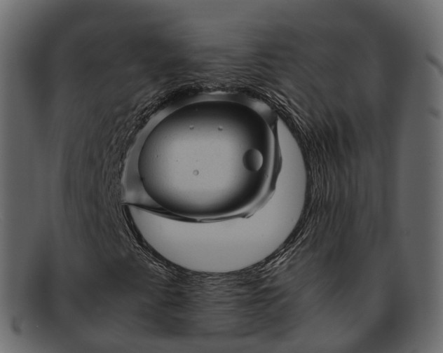 X0000091901345200709191229