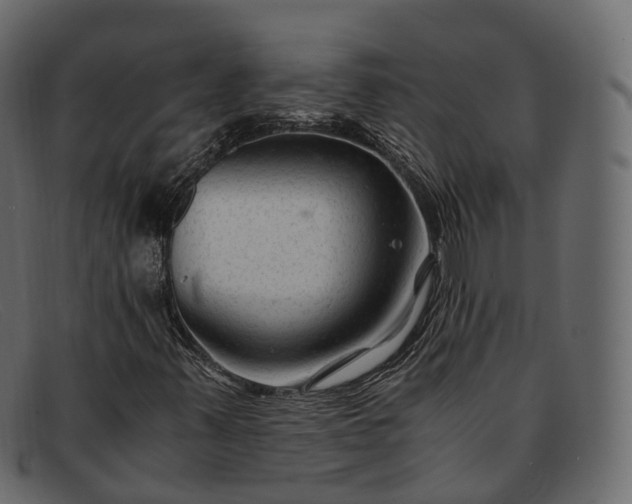 X0000091901347200709191229