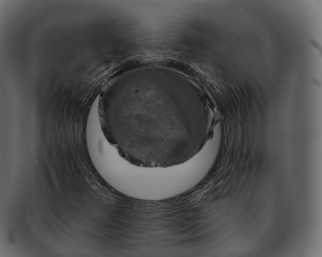 X0000091901348200709191229