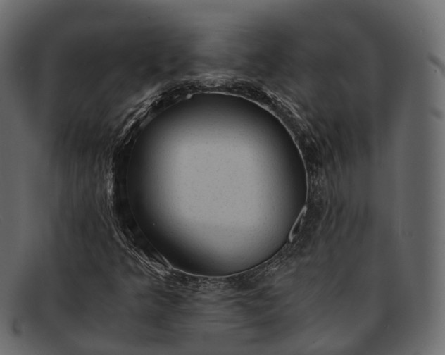 X0000091901349200709191229