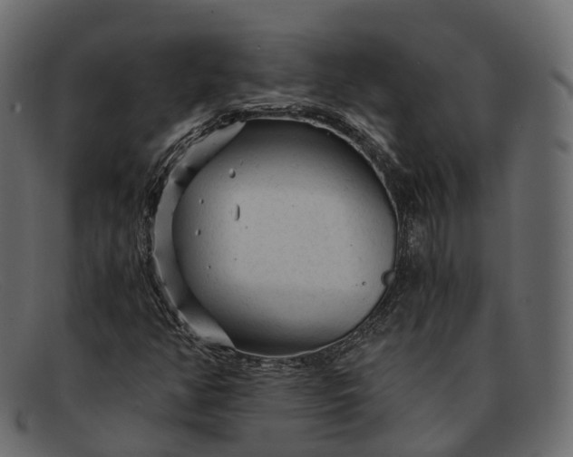 X0000091901350200709191229