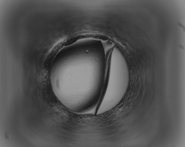 X0000091901351200709191229