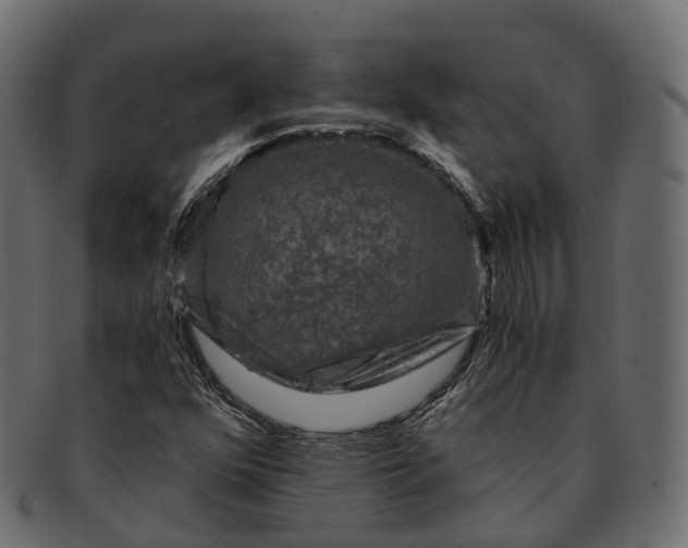 X0000091901352200709191229