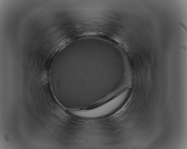 X0000091901353200709191229