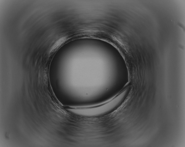 X0000091901354200709191229