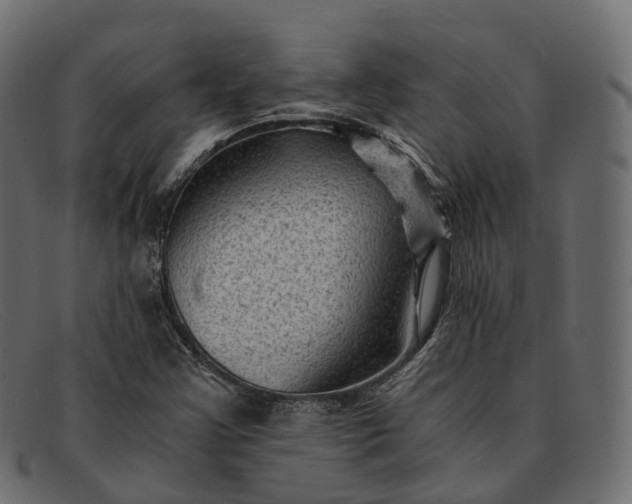 X0000091901355200709191229