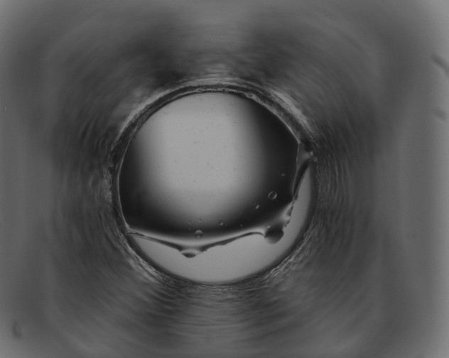 X0000091901356200709191229