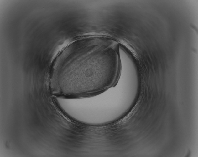 X0000091901357200709191229