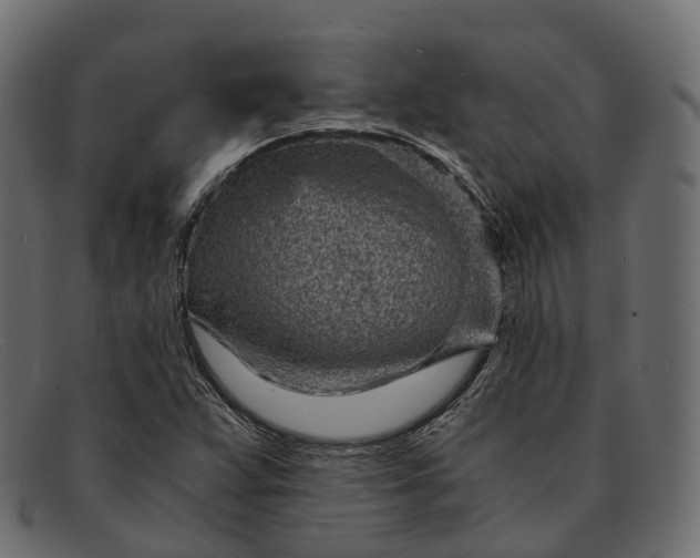 X0000091901359200709191229