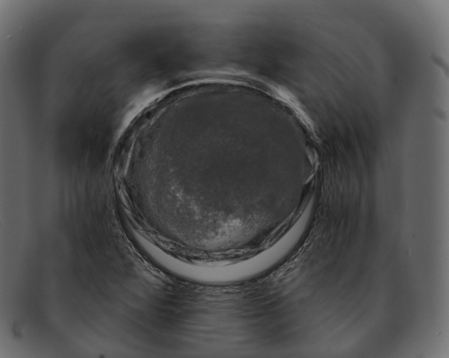 X0000091901360200709191229