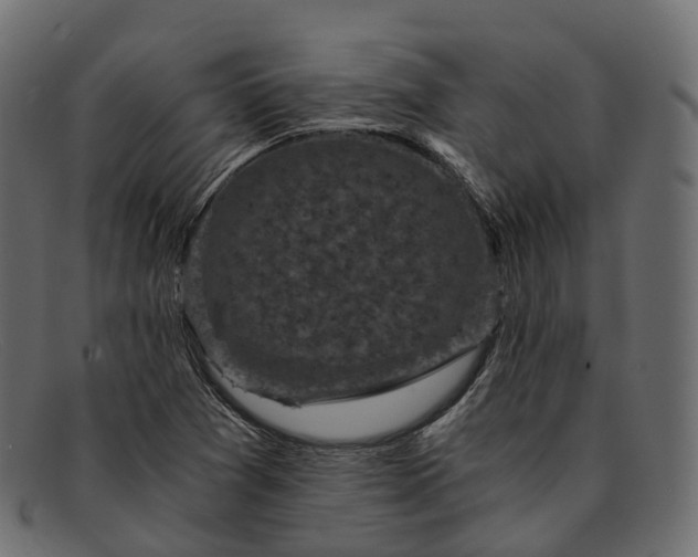 X0000091901361200709191229