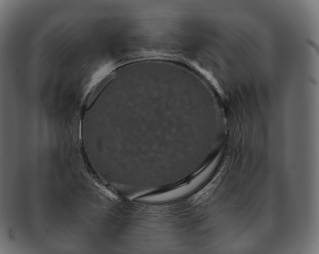 X0000091901365200709191229