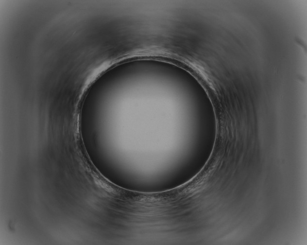 X0000091901366200709191229