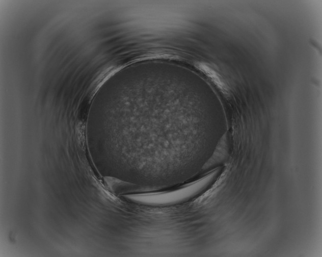 X0000091901369200709191229