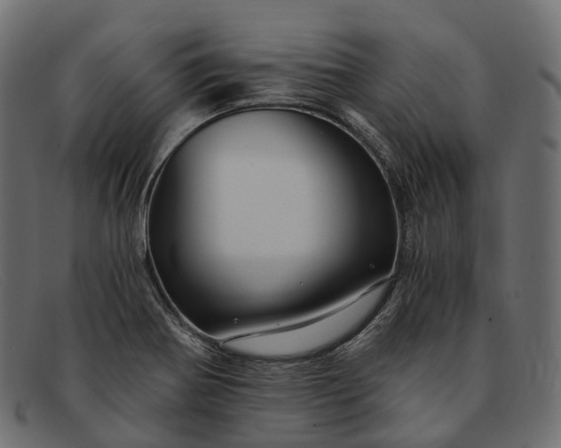 X0000091901370200709191229