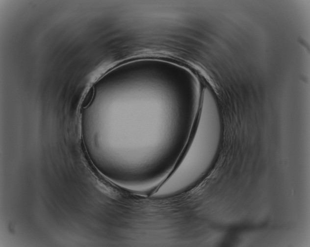 X0000091901371200709191229