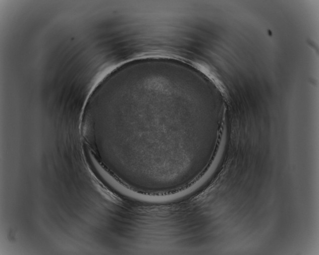 X0000091901372200709191229