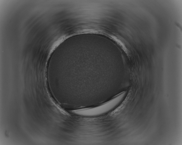 X0000091901373200709191229