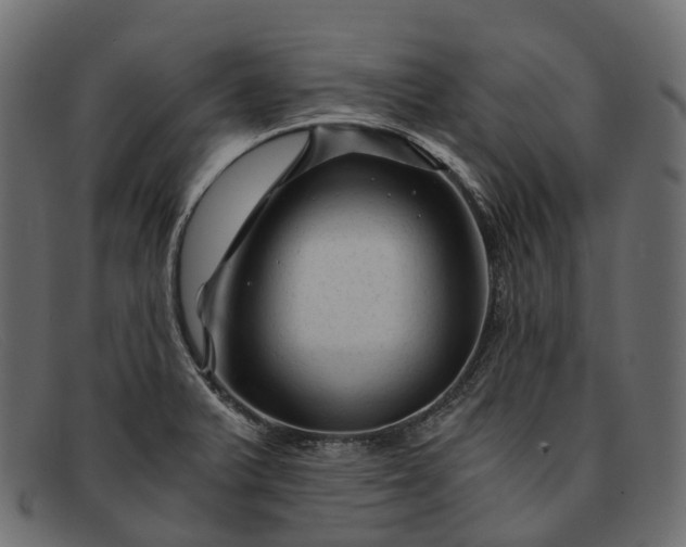 X0000091901375200709191229