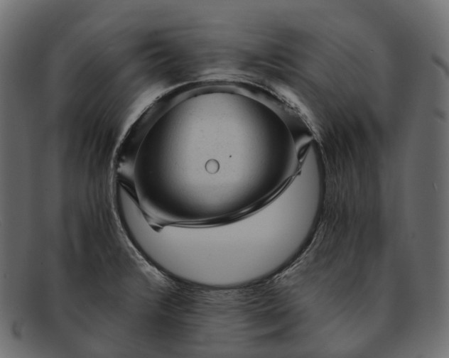 X0000091901376200709191229