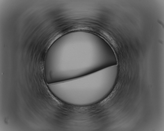 X0000091901377200709191229